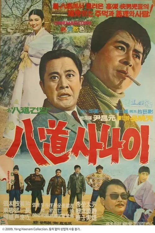 Sequel of Gallant Man