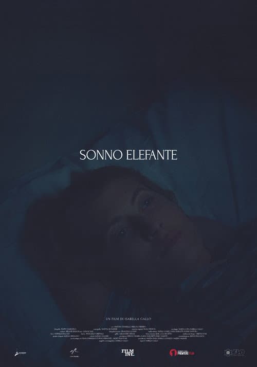 Sonno Elefante