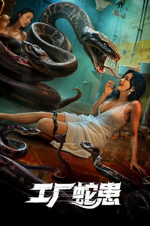 Snake Infestation in Factory