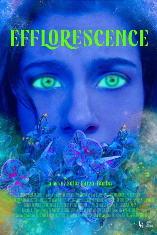 Efflorescence